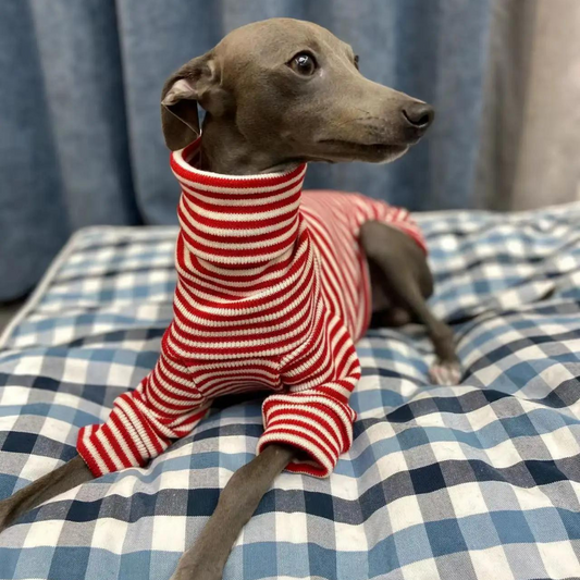 Red Striped Whippet Turtleneck Sweater