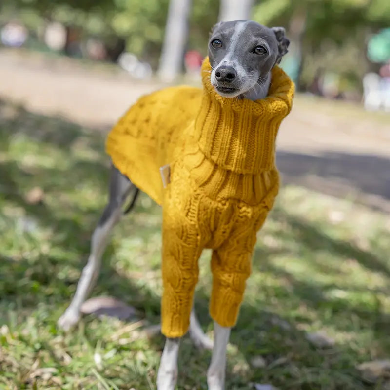 Yellow Knitted Turtleneck Jumper for Whippets & Italian Greyhounds